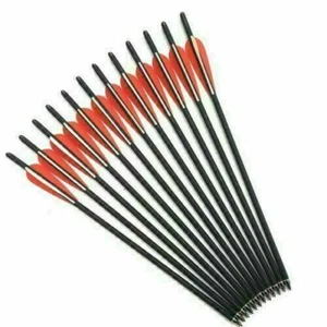 12Pcs 17"/20"/22" Carbon Arrows OD 8.8mm Crossbow Bolts W/Quiver Target Hunting - Picture 1 of 19