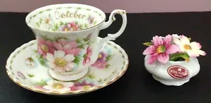 Royal Albert Flor del Mes OCTUBRE Cosmos Taza, Platillo y Ramo de Flores Set - Imagen 1 de 23