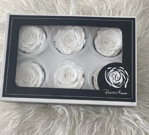 100%natural Preserved Forever Large White Roses From Ecuador Box Of6 PerfectGift - Picture 1 of 5