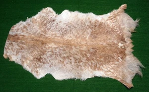 Neu Ziegenfell Teppich Haar auf Vorleger Größe 38"x24" Tierleder Ziegenfell G-434 - Bild 1 von 3