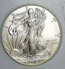 2013 American Eagle DOLLAR 1 TROY OZ FINE .999 SILVER MINT STATE BU COIN U.S.