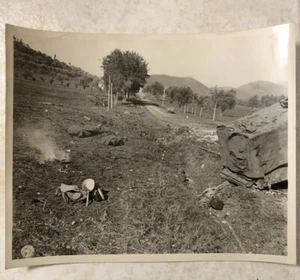 WW2 Foto Orig US Army Signal Corps 45° ID Vittime Americane in Italia 8x10 - Foto 1 di 6
