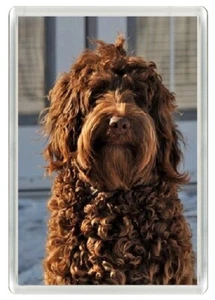 LABRADOODLE ENCANTADOR PERRO CABEZA CHOCOLATE IMPRESIÓN ARTÍSTICA NOVEDAD NEVERA IMÁN GRAN REGALO - Imagen 1 de 1