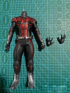 Hot Toys HT MMS497 1/6 Scale Ant Man Action Figure Body 12in. Hands Collectible - Picture 1 of 6