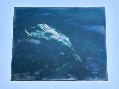 ANTIQUE EDWARD CURTIS PHOTOGRAPH BLUE TONED SILVER GELATIN 9.5" Woman ART DECO - Image 1 of 4