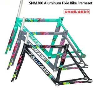 Single Speed Bicycle Frame 49CM 52CM 55CM 58CM Fixed Gear Frameset with Fork - Picture 1 of 22