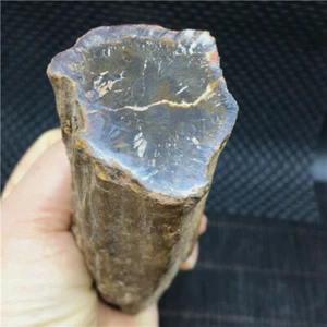 330g Beautiful Petrified Wood Fossil Crystal Freeform Madagascar（Already iron） - Picture 1 of 12