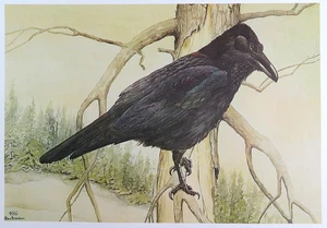 Rex Brasher Bird Print, Common Raven, 16x12 in. - Picture 1 of 3