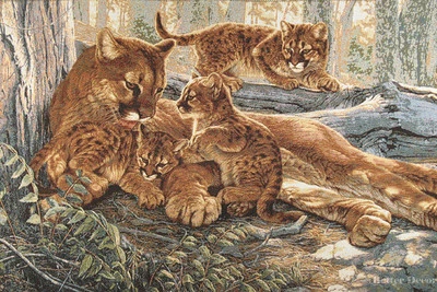 JACQ DE PARED. TAPIZ TEJIDO PUMAS LEÓN DE MONTAÑA GATO SALVAJE IMAGEN ANIMAL - VIDA SALVAJE Foto 1 de 2