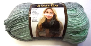 Lion Brand Scarfie Acrylic/Wool Blend, Bulky 5, 5.3 oz/312 yd (2 Colors Choice) - Picture 1 of 3