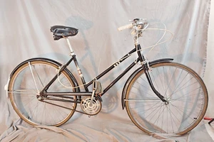 1965 Sears Cruiser Bike X-Small 49cm Shimano 333 Internal Hub Steel XX - Picture 1 of 13