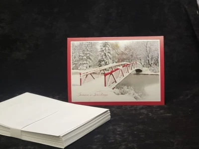 Juego de 100 invitaciones navideñas "Saludos de temporada" con sobres forrados de plata Foto 1 de 4