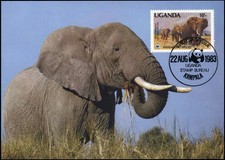 1988, Uganda, A 601 MK - 1690630