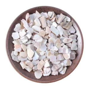 珍珠母 Zhengzhumu  500g - Picture 1 of 4