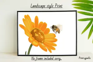BEE DAISY FUN A4 PRINT POSTER PICTURE UNFRAMED WALL ART HOME DECOR NEW GIFT  - Picture 1 of 2