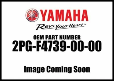 2014-2018 Yamaha Viking Seat Fitting Bolt New OEM 2Pg-F4739-00-00 QTY2 - Image 1 of 4