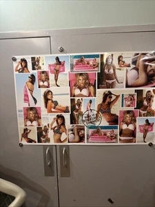 Authentic Victoria's Secret Poster 30”x46.5” Poster  Paper  Alessndra Candice - Picture 1 of 8