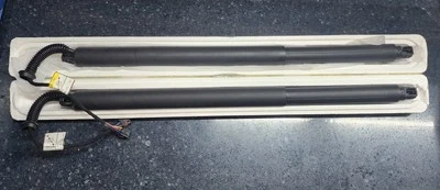 Elevador eléctrico puerta trasera Nissan Murano 2015-2020 Foto 1 de 4