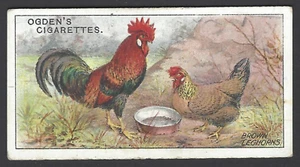OGDENS - POULTRY (1-25, OGDENS) - #12 BROWN LEGHORNS - Picture 1 of 2