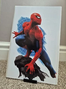 AMAZING SPIDER-MAN #26 NYCC 2023 Rafael Grassetti Virgin Variant LTD To 1000 - Picture 1 of 3