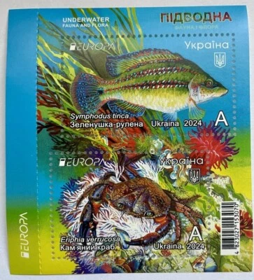 Block separate from the booklet EUROPA. Underwater Fauna and Flora UKRAINE 2024 - Image 1 of 4