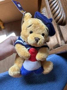 NEW CUTE DISNEY WINNIE THE POOH PLUSH TOY DRESSED AS EURO BEAR AND FREE SHIPPING - Picture 1 of 4