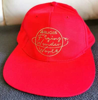 Gorra F1, FÓRMULA 1 vintage CAMPEÓN DEL MUNDO NIKI LAUDA RARA Foto 1 de 4