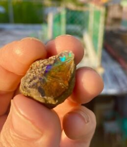 Etheopian Water Opal Deep Cave Found Gem Quality Incredible Natural Rough Fire