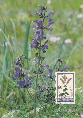 LIECHTENSTEIN 1993 FOUR FIRST DAY COVERS ON MAXI CARD, FLOWERS PLANTS - Image 1 of 4