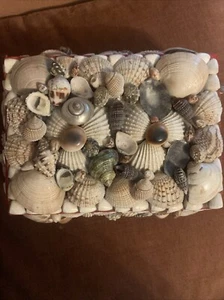 Handmade Seashell Shell Art Jewelry Trinket Box Nautical Beach Vintage - Picture 1 of 7