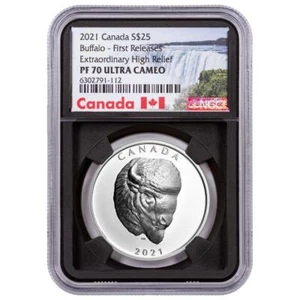 Moneda de 25 dólares Canadá 2021 Buffalo Extraordinary Alto Relieve 1 oz Plata Prueba NGC... - Imagen 1 de 3