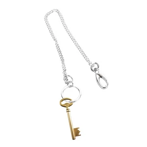 1 Stück Edelstahlkette Metall Schlüsselanhänger lange Kette Taille hängend Schlüsselanhänger für - Bild 1 von 11
