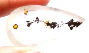 Cuarzo Dendrita IP16 54,65ct 38x21x7mm Forma Pera Imagen Piedra Jardín Ramas - Imagen 1 de 4