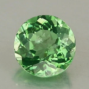 Video_1,48 ct_Apatite naturale_Madagascar_Tonalità verde erba viva_Taglio rotondo_GM1049 - Foto 1 di 2