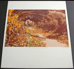 Original 1982 Photography Art Print Impressions of Giverny by Charles Weckler - Picture 1 of 1