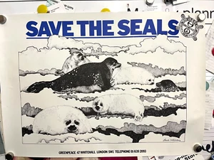 Fabulous Rare Vintage GREENPEACE Poster Save The Seals - Picture 1 of 5
