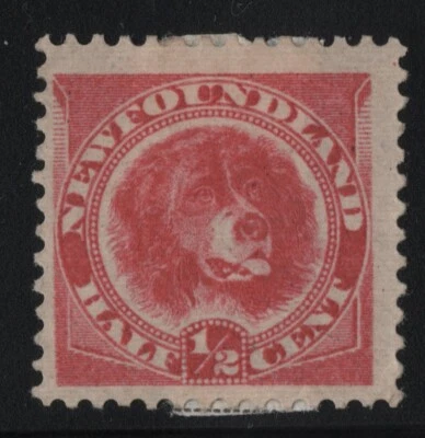 #56 Newfoundland Canada mint - Image 1 of 2