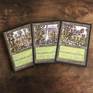 Foresta x3 Mirage Italian Magic The Gathering MTG Moderately Played - Picture 1 of 7