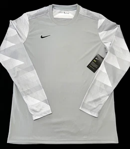 NWT 2020 NIKE Dry Park IV Mens Large Gray Goalkeeper Soccer Jersey CJ6068-012 - Imagen 1 de 8