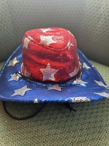 USA Stars & Stripes Sequinned Cowboy/cowgirl Novelty Party Fun Hat - Picture 1 of 9