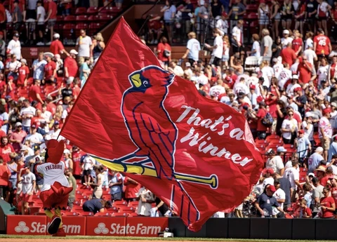 St Louis Cardinals Outdoor Flag-That’s A WINNER-MLB-3x5-EXCLUSIVE!! Cover