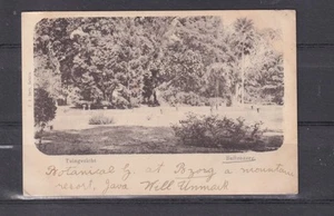INDONESIA, BUITENZBORG, BOGOR, giardini botanici, c1920 ppc., inutilizzato. - Foto 1 di 1