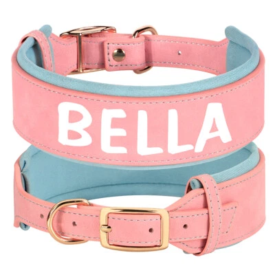 Leder Hundehalsband mit Name Breit Gepolstert Halsband Rottweiler Labrador M-XL - Bild 1 von 4