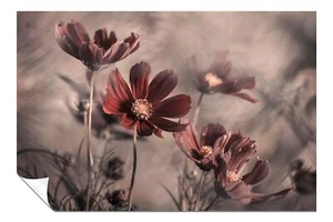 Roter Kosmos Blume Floral Garten Künstlerisches Poster Wandbild Wohndeko - Bild 1 von 4
