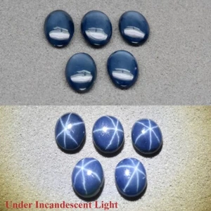 5pcs Lot 2.28ct t.w Oval Cab Deep Blue 6 Ray Star Sapphire Gemstone, Thailand - Picture 1 of 6