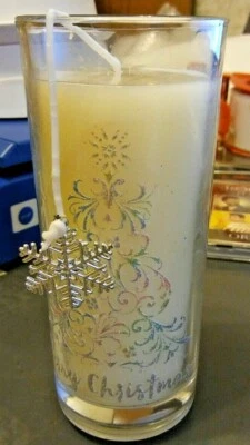 Nuevo y Sellado Pier 1 Importaciones ABEDUL NEVADO Tarro Vela Perfumada Copo de Nieve Decoración Foto 1 de 3