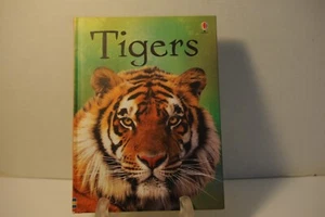 Tigers, Usborne Beginners, Children HC book, James Maclaine, 2012 - Imagen 1 de 1