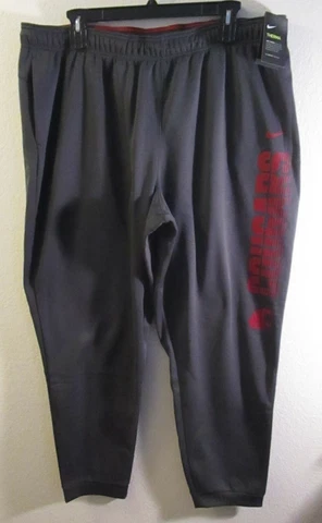 NWT Nike Washington State Cougars Sideline Therma Performance Pants 4XL MSRP$75 Cover