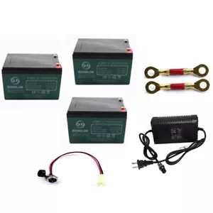 3er-Pack 6-DZM-12 12V 12Ah 36v Akku-Kit für ATV Scooter Go Kart Mobilität Rad - Bild 1 von 6