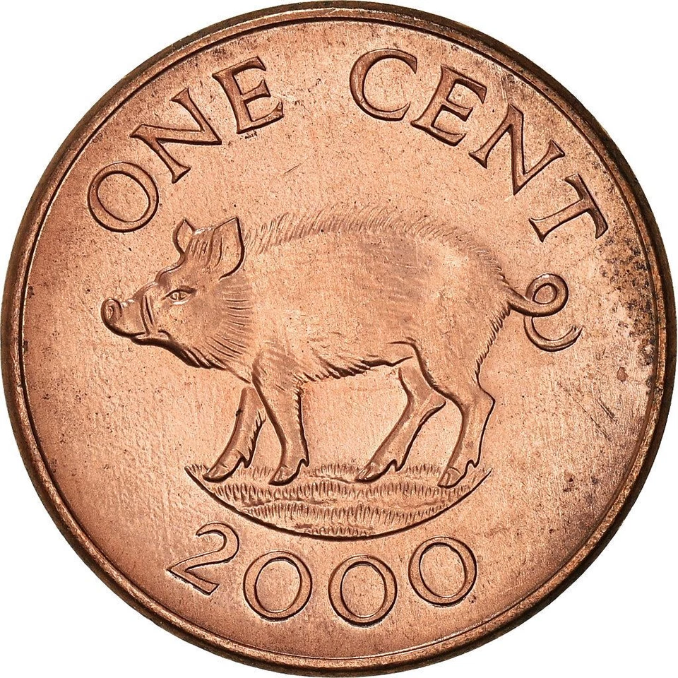 Bermudian 1 Cent Coin | Queen Elizabeth II | Wild Boar | Bermuda | 1999 - 2008 - Image 1 of 4